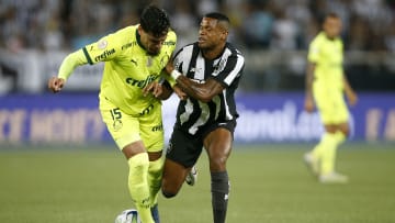 Botafogo e Palmeiras disputam a liderança do Brasileirão