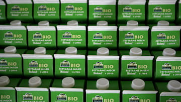 Milk Production At Dairy-Farm Trittau