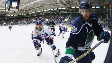 A Week With The Orlando Solar Bears