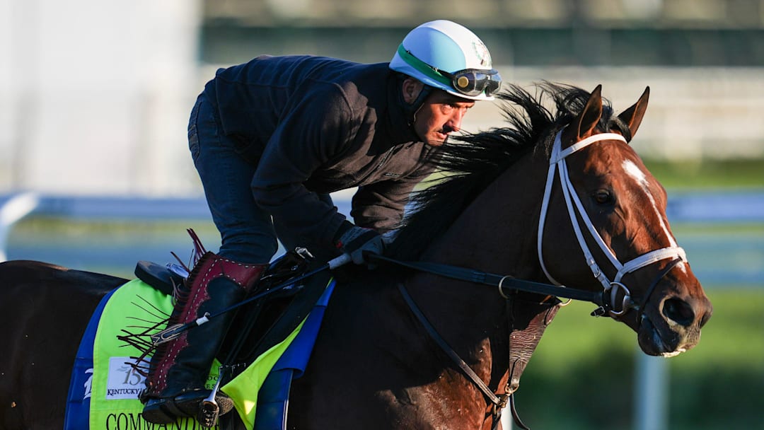 Commandment is among the betting picks for the Kentucky Derby. 