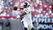 Minnesota Vikings quarterback Randall Cunningham (7) in action against the Tampa Bay Buccaneers at  Raymond James Stadium. The Bucs defeated the Vikings 27-24. 