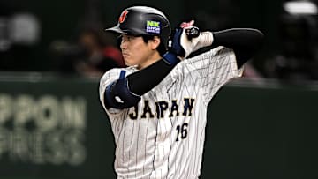 Shohei Ohtani, Japan