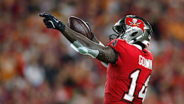 Baltimore Ravens v Tampa Bay Buccaneers