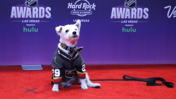 2018 NHL Awards - Arrivals
