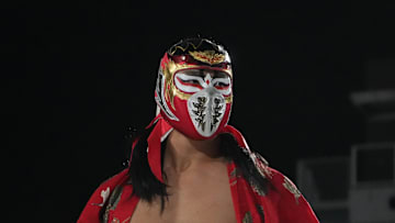 Pro-Wrestling ZERO1