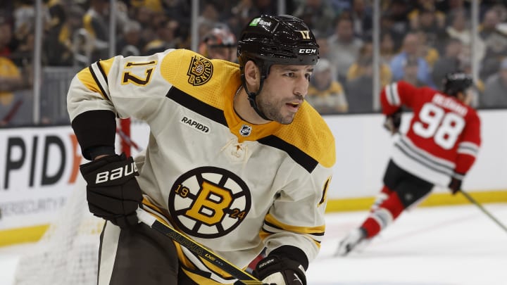 Oct 11, 2023; Boston, Massachusetts, USA; Boston Bruins left wing Milan Lucic (17) during the second period against the Chicago Blackhawks at TD Garden. Mandatory Credit: Winslow Townson-USA TODAY Sports