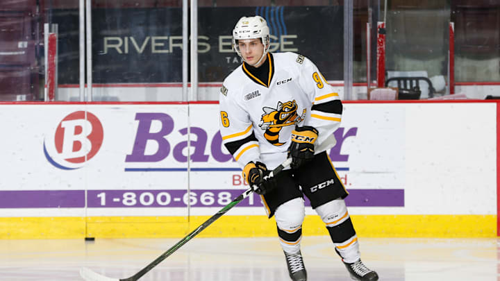 Sarnia Sting v Windsor Spitfires