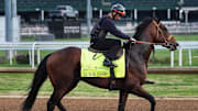 Luxor Cafe is trying to become the first Japanese horse to win the Kentucky Derby.