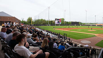 Fans watch during the NCAA baseball game between the Purdue Boilermakers and the Indiana Hoosiers