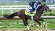 Kentucky Derby contender Fierceness works with jockey John Velazquez during training.