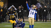 Dec 12, 2021; Hamilton, Ontario, CAN;  Winnipeg Blue Bombers kicker Sergio Castillo (14) reacts after kicking a field goal against the Hamilton Tiger-Cats during the 108th Grey Cup football game at Tim Hortons Field. Mandatory Credit: Dan Hamilton-Imagn Images