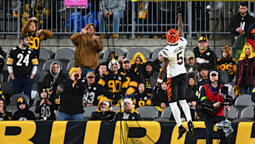 Cincinnati Bengals v Pittsburgh Steelers