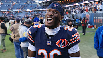 Pittsburgh Steelers v Chicago Bears