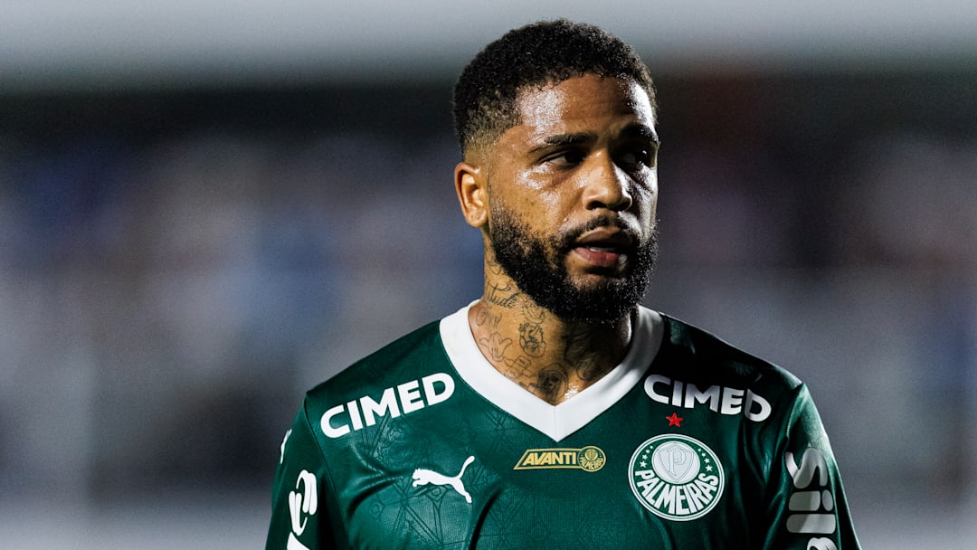 Santos v Palmeiras - Brasileirao 2025