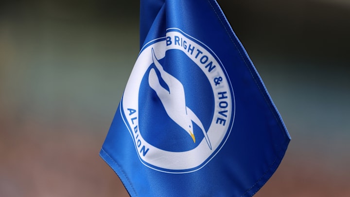 Brighton & Hove Albion v Luton Town - Premier League