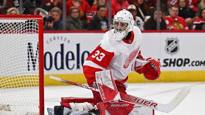 Detroit Red Wings goaltender Sebastian Cossa (33). Detroit Red Wings goaltender Sebastian Cossa (33).