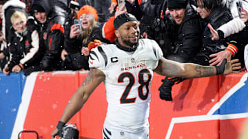 AFC Divisional Playoffs - Cincinnati Bengals v Buffalo Bills