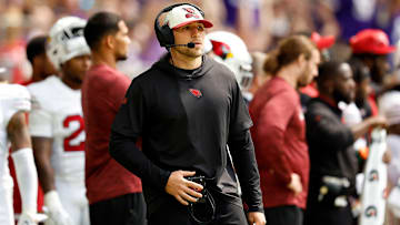 Arizona Cardinals v Minnesota Vikings