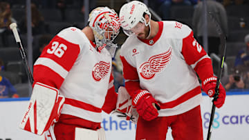The Detroit Red Wings are a top 10 NHL club, according to a USA Today NHL power rankings piece.