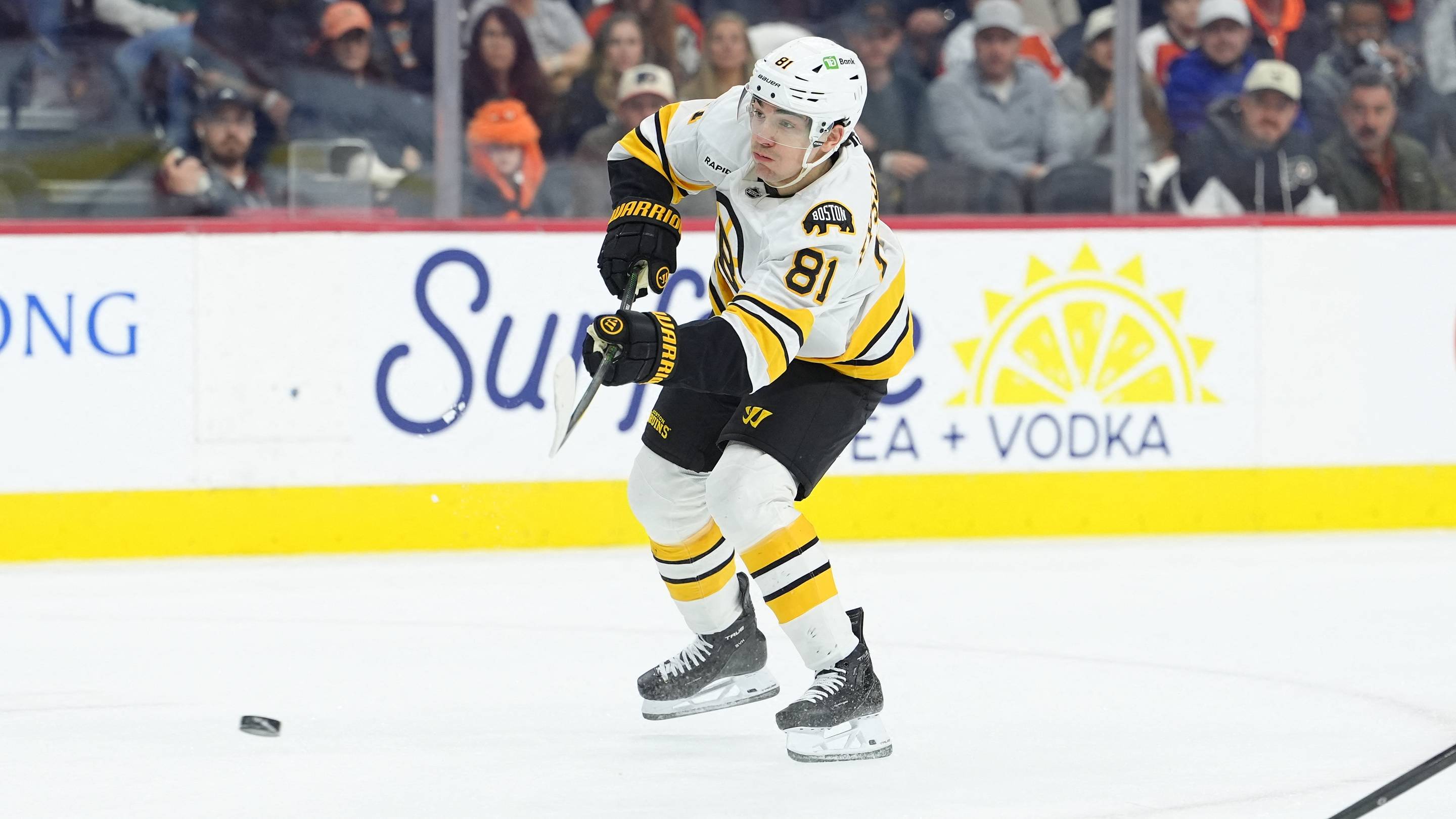 Boston Bruins Place Forward on Waivers