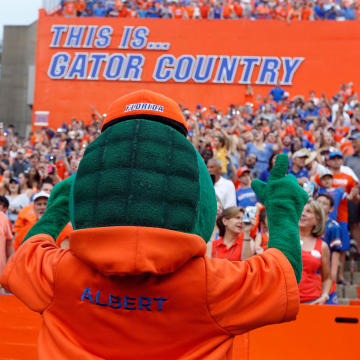 The Florida Gators have been down, but not out. There's a sleeping giant in Gainesville