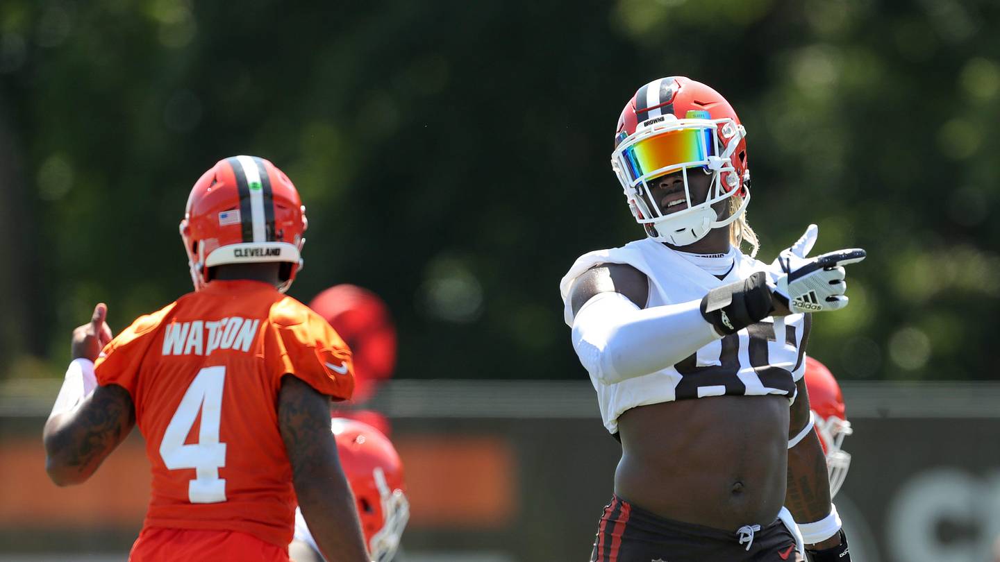 Which Cleveland Browns Player Is A 'Must Get' In Fantasy Football?