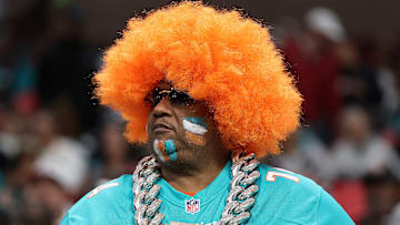 Miami Dolphins fan