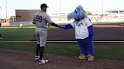 New York Yankees outfielder Aaron Judge (99) shakes hands with  Tampa Bay Rays mascot Raymond  before Thursday's game at Steinbrenner Field.
