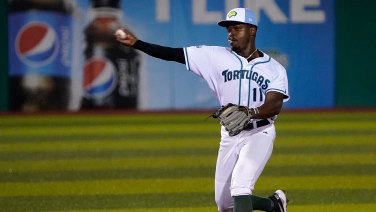 Cincinnati Reds prospect Ivan Johnson throws the ball.