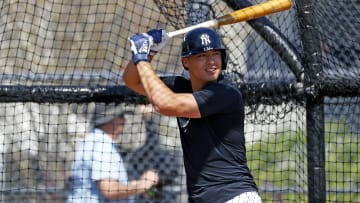 New York Yankees Spring Training