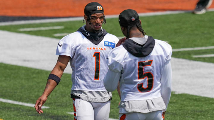 Cincinnati Bengals Offseason Workout