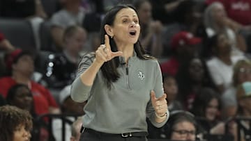 Liberty head coach Sandy Brondello was frustrated after a disappointing loss to the Sky.