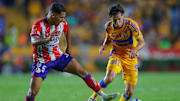 Tigres UANL v Atletico San Luis - Torneo Apertura 2024 Liga MX