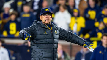Jim Harbaugh, Michigan Wolverines