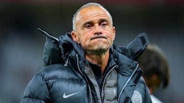 Luis Enrique - Paris Saint-Germain