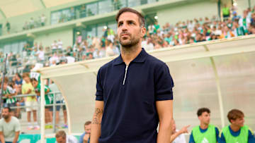Cesc Fabregas