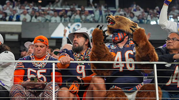 Chicago Bears fans during a game against the Minnesota Vikings 