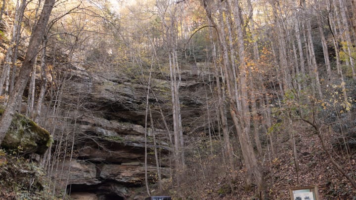 Cars line up at the Nada Tunnel in the Red River Gorge Geological Area. On busy weekends during the fall season this year, there has been increased traffic congestion and waits up to an hour to get through the tunnel. Nov. 3, 2020

N3i8568 Redrivergorge Strupp