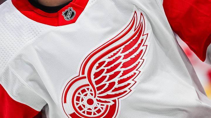View of a Detroit Red Wings logo Credit: David Kirouac-USA TODAY Sports View of a Detroit Red Wings logo Credit: David Kirouac-USA TODAY Sports