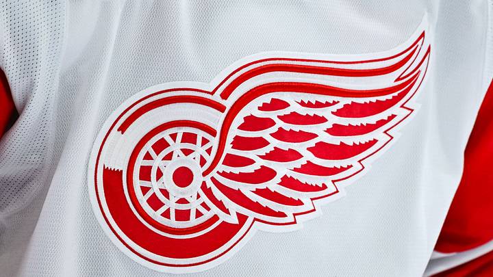 Detroit Red Wings logo on a jersey Mandatory Credit: David Kirouac-Imagn Images Detroit Red Wings logo on a jersey Mandatory Credit: David Kirouac-Imagn Images