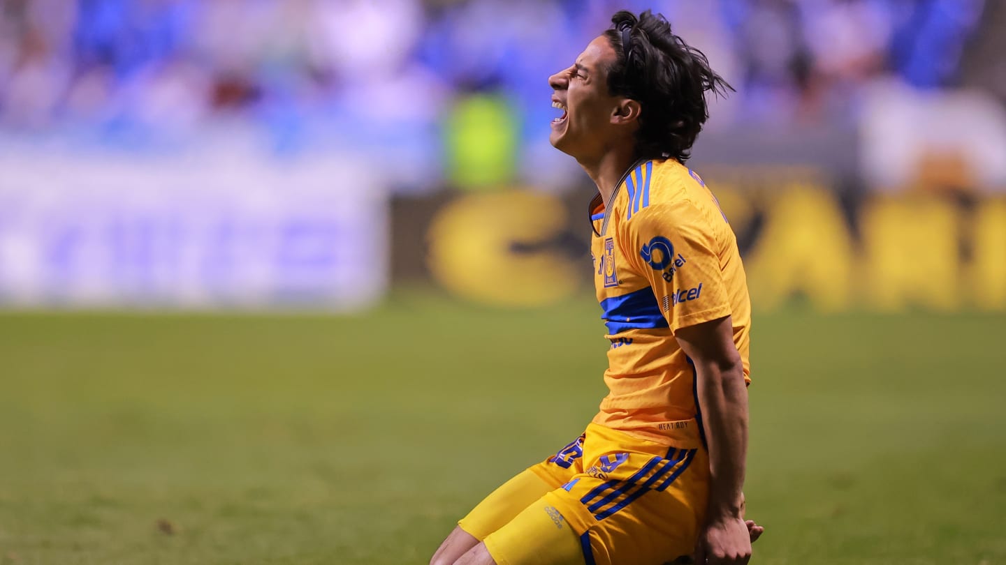 Detailed Lesionados Y Sancionados De Tigres Para Enfrentarse A León Design Nature