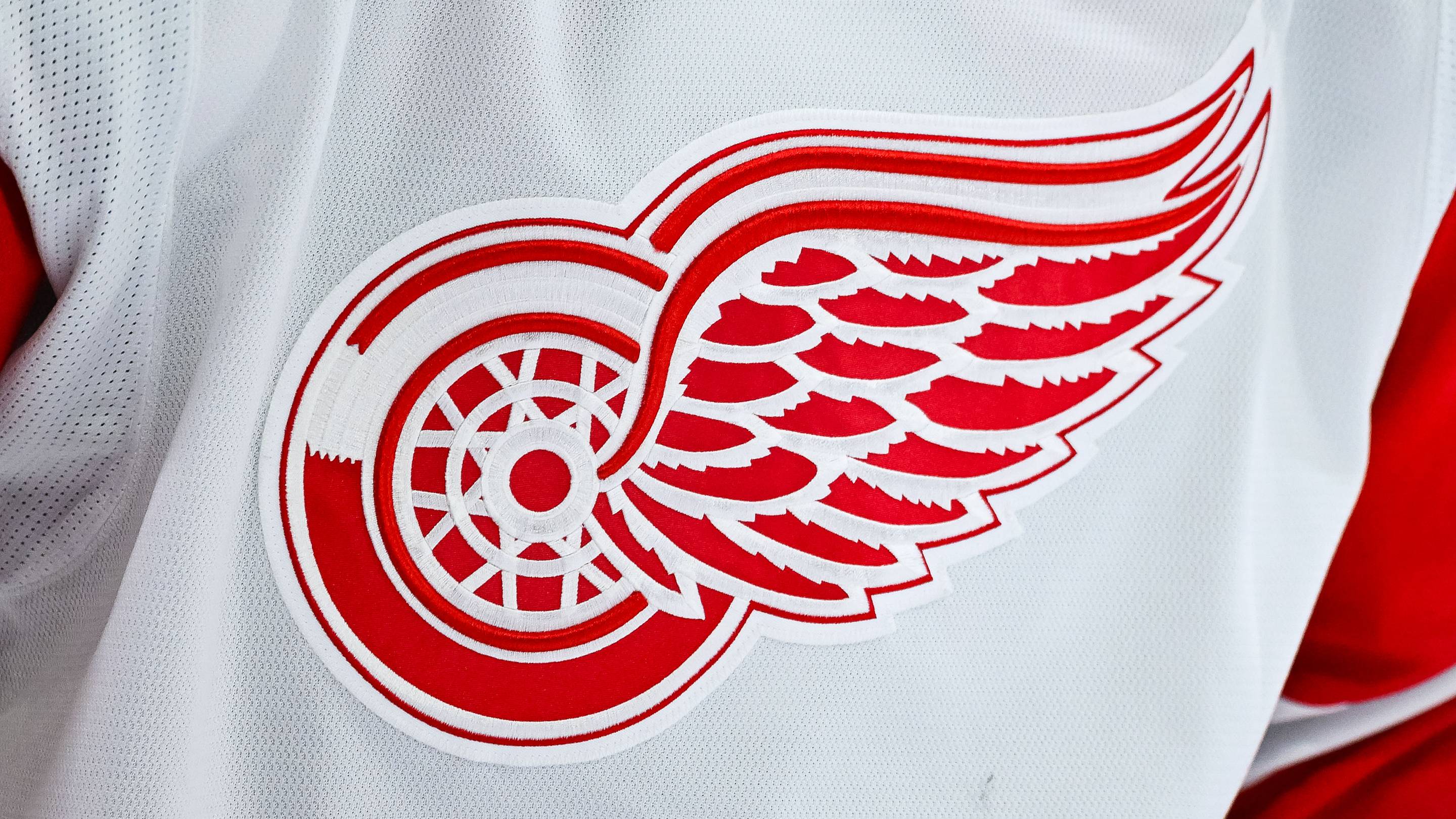 Red Wings Prospect Adam Levac Suspended Indefinitely After Dangerous Hit