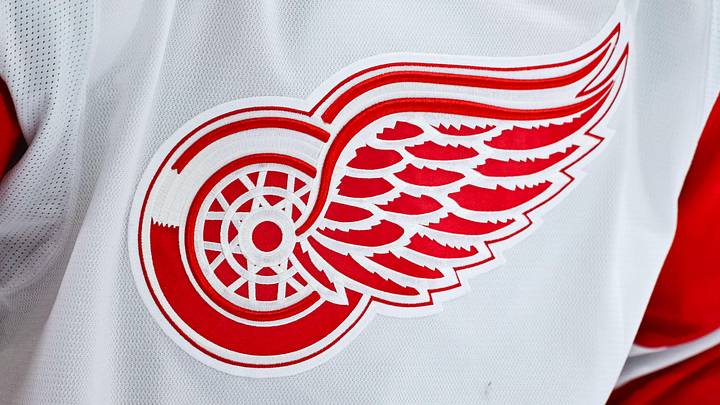 Jan 10, 2026; Montreal, Quebec, CAN; View of a Detroit Red Wings logo on a jersey worn by a member of the team during warm-up before the game against the Montreal Canadiens at Bell Centre. 