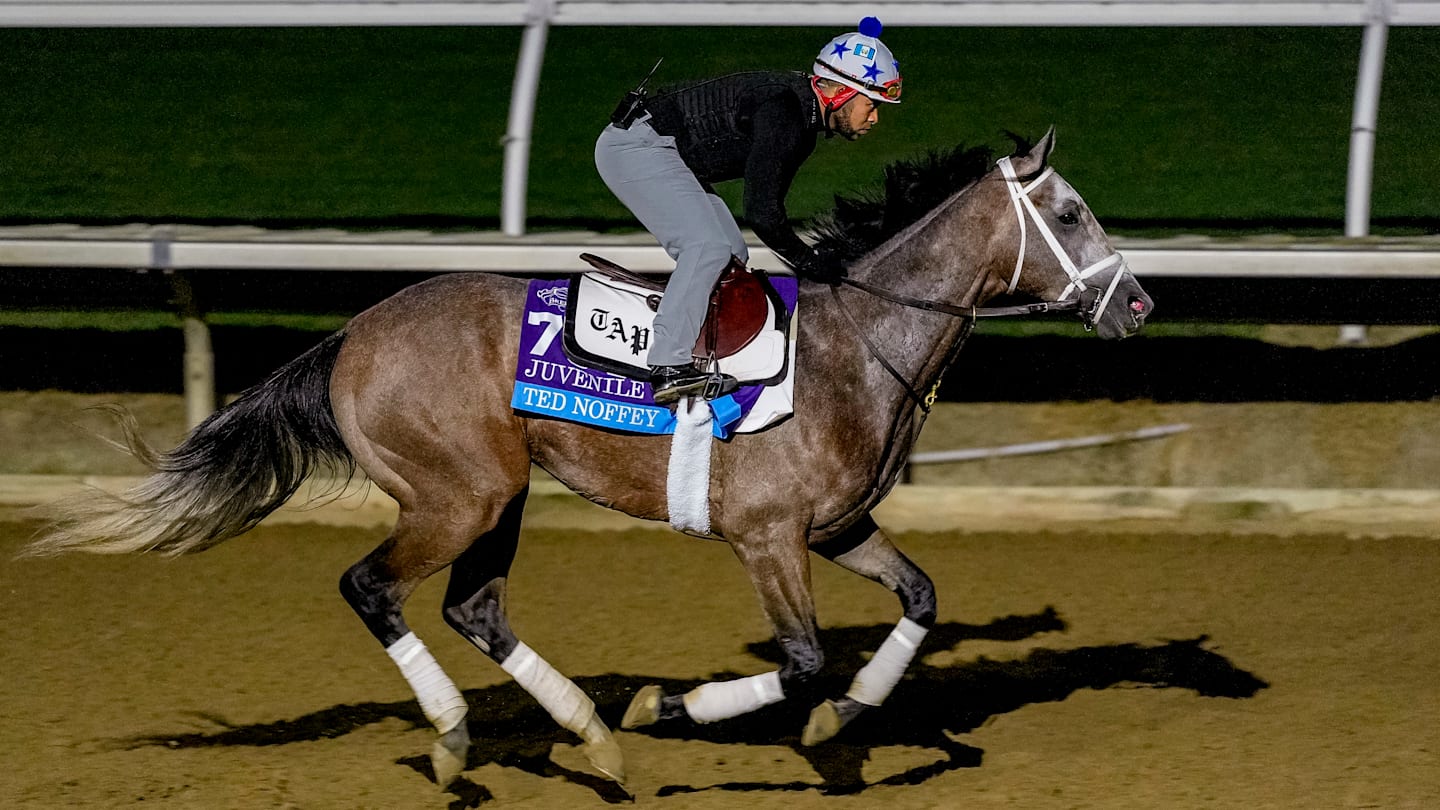 Breeders' Cup Juvenile Showcases East-West Rivalry With Undefeated Contenders