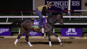 Rhetorical, trained by William Walden, exercises in preparation for the FanDuel Breeders' Cup Mile at Del Mar Thoroughbred Club in Del Mar, California on October 28, 2025. 