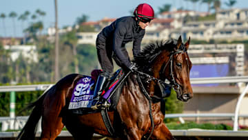 True Love, trained by Aidan P. O'Brien, exercises in preparation for the Breeders' Cup Juvenile Turf Sprint at Del Mar Thoroughbred Club in Del Mar, California on October 28, 2025. 