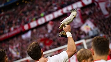 Der Münchner Meister-Kakadu war auch wieder mit dabei