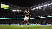 Palmeiras renovou esperanças de ser tricampeão após ver o líder Botafogo tropeçar na rodada