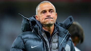 Luis Enrique - Paris SG