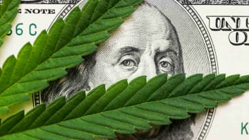 New York's medical cannabis MSOs want in on the adult-use market, but...